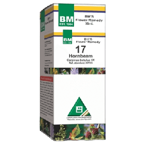 Hornbeam - 17