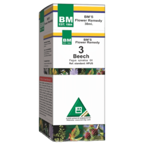 Beech - 3