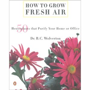 HOW TO GROW FRESH AIR