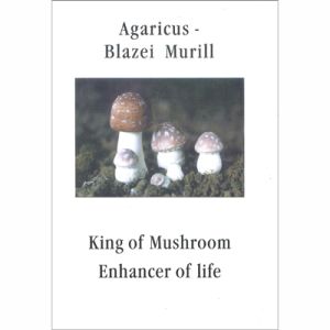 Agaricus-blazei Murill,king Of Mushroom
