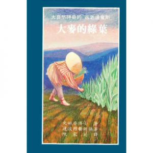 大麥的綠葉