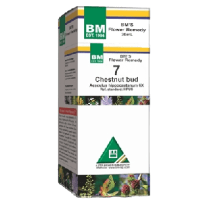 Chestnut Bud - 7
