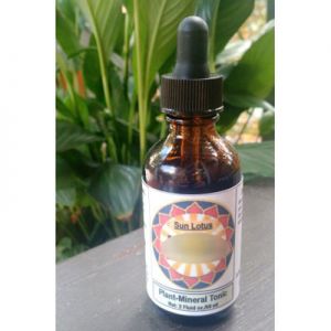 Red Reishi Extract 60 ml